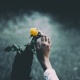 Астротөлгө: 22-май күнү төрөлгөндөрдүн амбициясы күчтүү болобу?