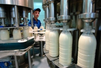 Айыл чарба продукцияларын иштетип чыккан ишкерлердин салыктарын жеңилдетүү сунушталууда