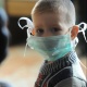 Депутат балдардын өлүмү боюнча кайсы облус алдыда экенин айтты