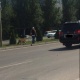 Бишкекте тургун жетелеп жүргөн жолборс кайдан келгени айтылды