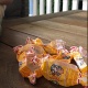 Орусия улуттук курама командасынын мурдагы оюнчусу Сергей Игнашевич момпосуй жеп эс алууда