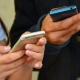 Өкмөт сунуштаган токтомго ылайык ар бир жаран телефонун каттоодон өткөрүү үчүн 100 сом төлөйт