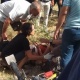 Тажикстанда туристтерге болгон кол салууну "Ислам мамлекети" террордук тобу өзүнө алды