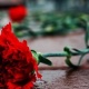 Орусияда корей кызын куткарам деп өзү сууга чөгүп каза болгон 17 жаштагы кыргыз жигиттин сөөгү жерге берилди