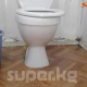 Кырчын жайлоосундагы сынга алынган дааратканалардын учурдагы абалы