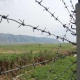 Чек арадан мыйзамсыз өтүүгө аракет кылган Тажик жараны кармалды