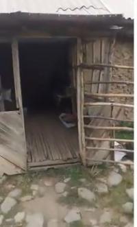 ЭЛДИК ВИДЕО: "Ноокаттагы Агарт айылдык мектебин видеодон көрбөсөң абалына ишенбейсиң"