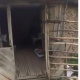 "ЭЛДИК КАБАРга" жооп: Райондук билим берүү бөлүмү: "Ноокаттын Агарт аймагындагы мектептин имараты ижарага алынган. Бул жылы аны жаптык"