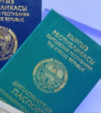 ТИМ: "Август айында дипломатиялык паспортторду колдонуу эрежелери бузулгандыгы аныкталган"