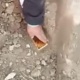 ЭЛДИК ВИДЕО: "Өзгөн районунун тургуну жер казып жатып алтындын куймасын таап алды"