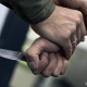 Бишкекте милиция кызматкеринин колуна бычак сайган жаран эки айга камалды