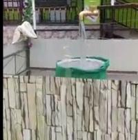 ЭЛДИК ВИДЕО: Чоргосу көрүнбөгөн суу аккычты "Кудайдын кудурети" деген жаран талкууга алынды