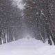 22-ноябрда өлкөнүн көпчүлүк аймактарында кар жаашы күтүлөт