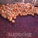 Баткенде курма терим башталды. Дыйкандар курманын быйылкы сатуудагы баасына ыраазы (фото)