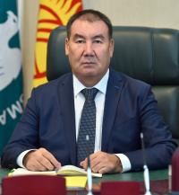 Салык кызматынын башчысы: "10 ай аралыгында 66,5 миллиард сом салык чогултулду"