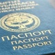Өлкөдөн чыгууга тыюу салынган жаран башка паспорт менен Москвага кетүүгө аракет кылган