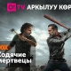 National Geographic, Fox Life жана башкалар: Эми O!TV тиркемесинде 150 канал