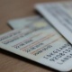 Өлгөн адамдын паспорту менен чек арадан өтүп жүргөн жаран кармалды