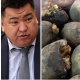 "Айыл чарба министрлигин эл чириген картошкага салыштырууда" деген депутатка министр "аймактарды кыдырдым, чириген картошка жок" деп жооп берди