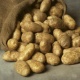 Депутат Казакстан Кыргыз өлкөсүнөн азык-түлүк продукциясын ташып кирүүгө тыюу салганы боюнча кандай иштер жүрүп жатканын сурады