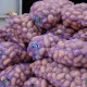 Казакстан Кыргыз өлкөсүнөн картошка, алма, курманы ташып кирүүгө убактылуу тыюу салды. Депутат министрге: "Кудай буюрса, чечилет дебей аракет кылгыла"