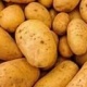 Кыргыз, казак өкмөт башчылары айыл чарба продукцияларына киргизилген чектөө боюнча талкуулашты