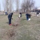 16-мартта өлкө боюнча жалпы республикалык ишембилик өтөт