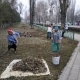 Бүгүн өлкө боюнча жалпы республикалык ишембилик өтүүдө