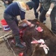 Жумгалда тууй албай жаткан уйга операция жасап, аны аман алып калышты