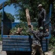 "Арча демилгеси" фонду шаардыктарды ботаникалык бактагы дарактарды кыюудан сактап калууга чакырды