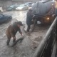 Жамгырдан кийин Жаш Гвардия бульвары менен Лев Толстой көчөлөрү кесилишкен жерди суу каптады