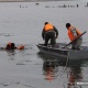 Баткенде 8 жаштагы бала дарыяга түшүп кетип изделүүдө