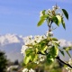 Май айына карата өлкө боюнча күтүлгөн аба ырайы