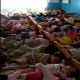 ЭЛДИК ВИДЕО: Бала бакчада бир керебетке 4-5тен, батпай калганы полго жатып уктаган балдардын видеосу тарады