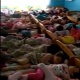 Бир керебетке 4-5тен бала уктаган бала бакча боюнча Бишкек шаардык билим берүү башкармалыгы билдирүү таратты