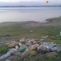 ЭЛДИК КАБАР: "Базар-Коргондогу суу сактагычтын айланасы таштандыдан тазаланбай келет" дейт окурман