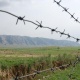 Депутат эл өкүлдөрү каникулга кеткенге чейин чек ара маселеси боюнча өкмөт маалымат бериши керектигин айтты
