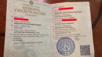 Кыргыздын Путини жакында бир жашка чыгат