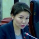 Депутат Чек ара кызматын жана Бажы кызматын сындаганы үчүн анын туугандарына чек арада бут тосуулар болуп жатканын айтты
