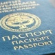16 жашка чыга элек балдарга жалпы жарандык паспорт 10 күндүн ичинде берилет