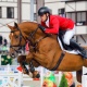 Эки Кыргыз спортчусу ат оюндары боюнча Евразия чемпиондугунда жеңүүчү аталышты