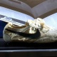 АКШда Nike фирмасынын бир жуп спорттук бут кийими 437 миң 500 долларга сатылды