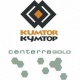 Өкмөт "Centerra Gold Inc." компаниясы менен стратегиялык келишимдин күчүнө кирүү шарттары боюнча түшүнүшүүгө жетишти