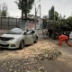 "ЭЛДИК КАБАРга" жооп: "Унааны басып калган дарактын тамырына залал келген болушу мүмкүн" дейт шаардык мэрия