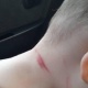 Милиция ата 2 жашар кызын уруп жаткан видео тарады. Ош ОИИБи бул окуя боюнча кыздын апасы арыз менен кайрылганын билдирди