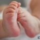 Алжирде төрөт үйү өрттөнүп, 8 ымыркай чарчап калды