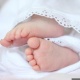 Сүйүнчү! 31-декабрда өлкөдө 261 ымыркай төрөлдү