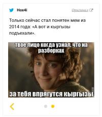"Көйгөйдү бат, сапаттуу чечип беребиз &copy;кыргыздар". Социалдык тармактагы орусиялык жарандардын комментарийлери