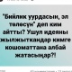 "Абийир деген барбы?". Карызды элдин эсебинен төлөө сунушуна интернет колдонуучуларынын реакциясы
