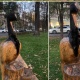 Эркиндик бульварындагы павлиндин жыгачтан жасалган скульптурасын өрттөп кетишти